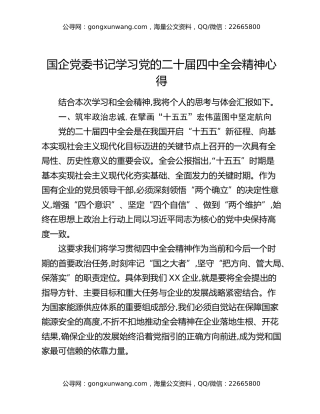 国企党委书记学习党的二十届四中全会精神心得