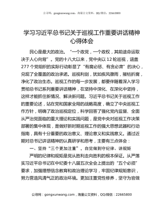 学习习近平总书记关于巡视工作重要讲话精神心得体会