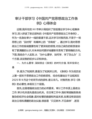 审计干部学习《中国共产党思想政治工作条例》心得体会