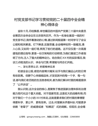 村党支部书记学习贯彻党的二十届四中全会精神心得体会