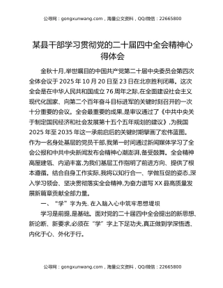 某县干部学习贯彻党的二十届四中全会精神心得体会