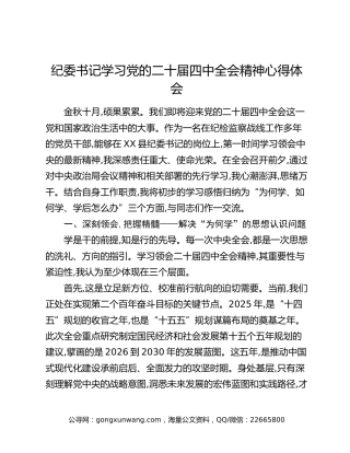 纪委书记学习党的二十届四中全会精神心得体会