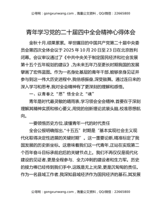 青年学习党的二十届四中全会精神心得体会