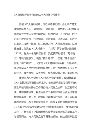 XX局挂职干部学习党的二十大精神心得体会（盛会）