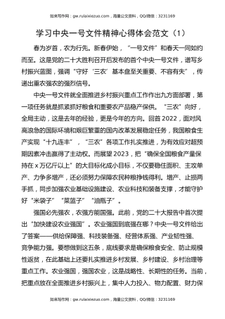 【4篇】学习2023年一号文件精神心得体会（研讨发言材料）