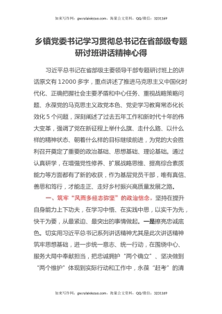 乡镇党委书记学习贯彻总书记在省部级专题研讨班讲话精神心得体会