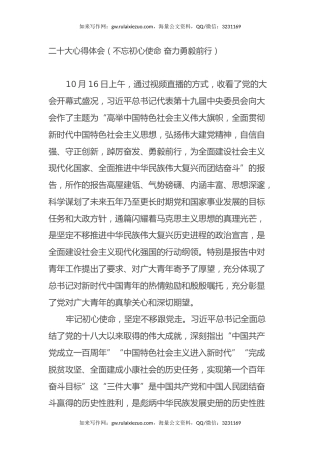 二十大心得体会（不忘初心使命 奋力勇毅前行）