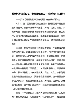 做大做强自己，新疆的明天一定会更加美好 ——学习《新疆的若干历史问题》白皮书心得体会