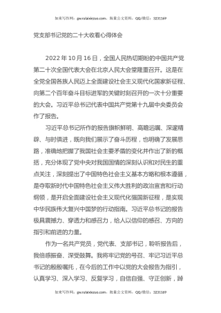 党支部书记党的二十大收看心得体会