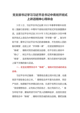党支部书记学习习近平总书记中青班开班式上讲话精神心得体会
