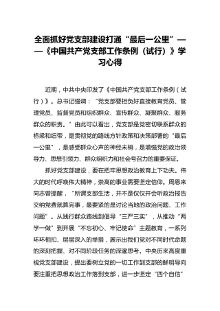 全面抓好党支部建设打通“最后一公里”——《中国共产党支部工作条例（试行）》学习心得