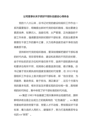 公司董事长关于抓好干部队伍建设心得体会