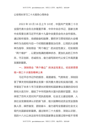 公安局长学习二十大报告心得体会