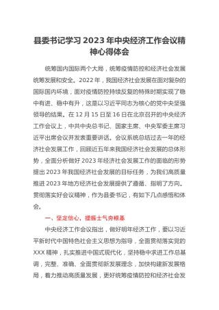 县委书记学习2023年中央经济工作会议精神心得体会