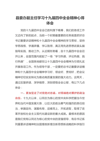 县委办副主任学习十九届四中全会精神心得体会