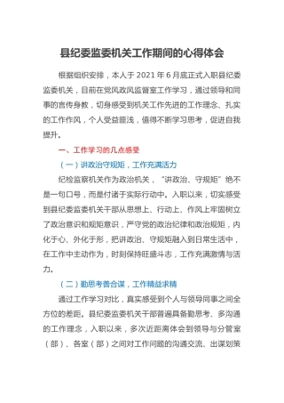 县纪委监委机关工作期间的心得体会