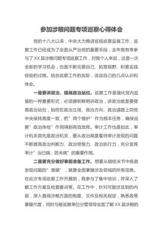 参加涉粮问题专项巡察心得体会