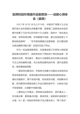 发挥利剑作用 提升巡察质效——巡察心得体会（县级）