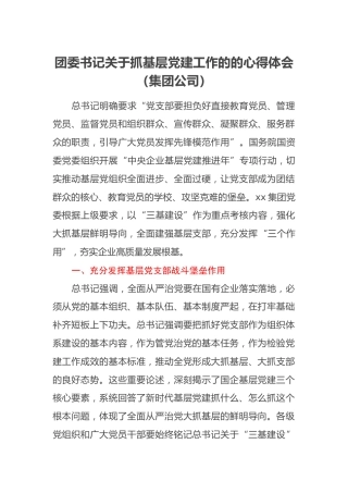 团委书记关于抓基层党建工作的的心得体会（集团公司）