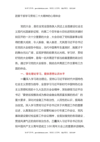 团委干部学习贯彻二十大精神的心得体会