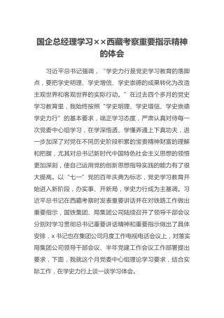 国企总经理学习××西藏考察重要指示精神的体会