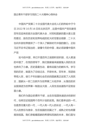 国企青年干部学习党的二十大精神心得体会