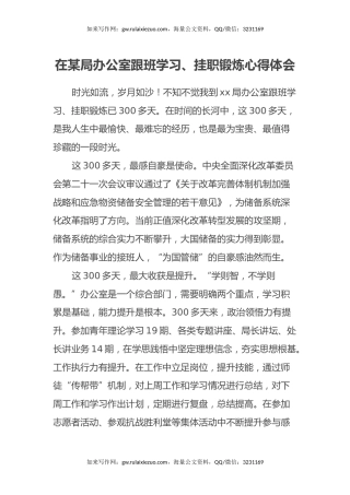 在某局办公室跟班学习、挂职锻炼心得体会