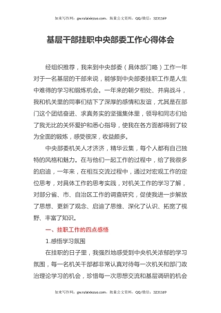 基层干部挂职中央部委工作心得体会 (2)