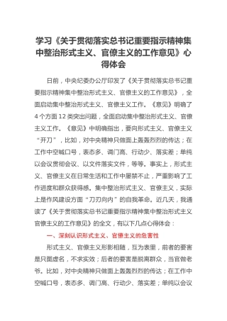 学习《集中整治形式主义、官僚主义的工作意见》心得体会