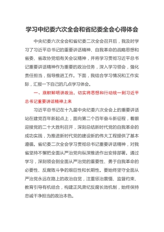 学习中纪委六次全会和省纪委全会心得体会