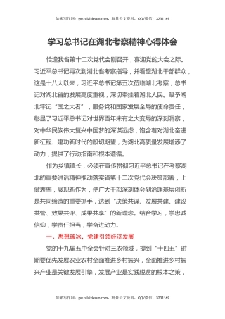 学习总书记在湖北考察精神心得体会