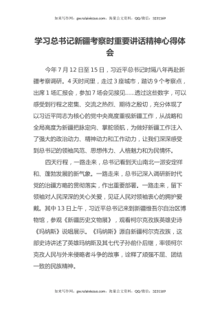 学习总书记新疆考察时重要讲话精神心得体会5