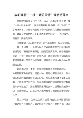 学习观看“一枝一叶总关情”观后感范文