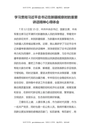 学习贯彻习近平总书记在新疆视察时的重要讲话精神心得体会