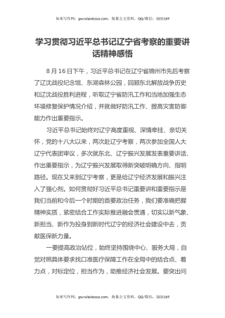 学习贯彻习近平总书记辽宁省考察的重要讲话精神感悟心得体会