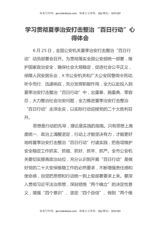 学习贯彻夏季治安打击整治“百日行动”心得体会