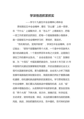 学深悟透抓紧抓实——学习十九届五中全会精神心得体会