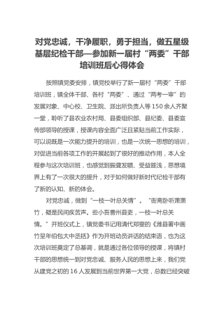 对党忠诚，干净履职，勇于担当，做五星级基层纪检干部—参加新一届村“两委”干部培训班后心得体会