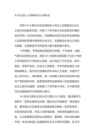 市XX支队二十大精神学习心得体会（盛会）