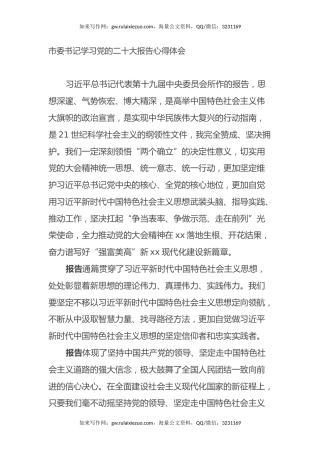 市委书记学习党的二十大报告心得体会