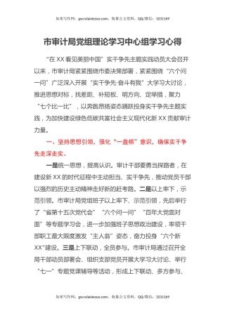 市审计局党组理论学习中心组学习心得体会