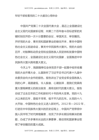 年轻干部收看党的二十大盛况心得体会