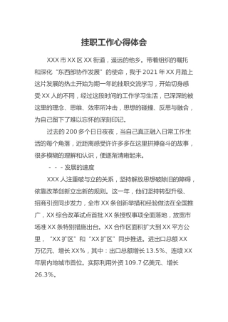 挂职工作心得体会