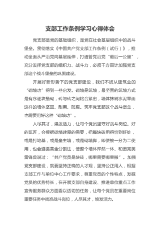 支部工作条例学习心得体会