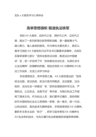 支队二十大报告学习心得体会（盛会）