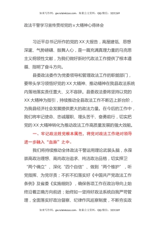 政法干警学习宣传贯彻党的二十大精神心得体会