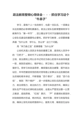 政法教育整顿心得体会---抓住学习这个“牛鼻子”