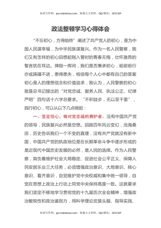 政法整顿学习心得体会 (2)