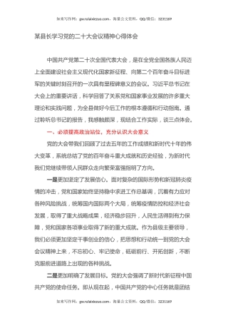 某县长学习党的二十大会议精神心得体会