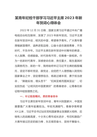 某青年纪检干部学习习近平主席2023年新年贺词心得体会
